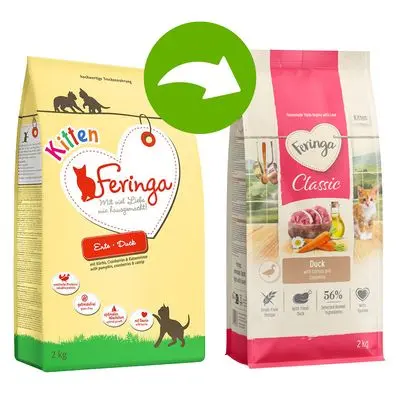 Feringa Kitten And