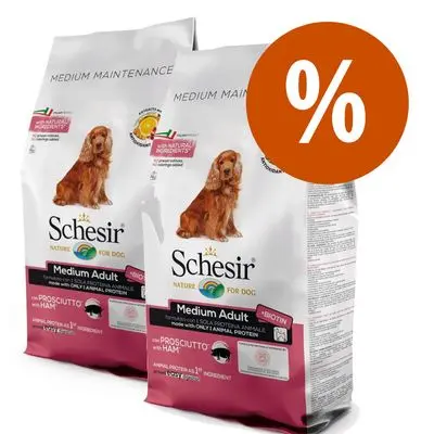 Sparesett! 2 x 12 kg Schesir Dog Dry Dry Medium/Large
