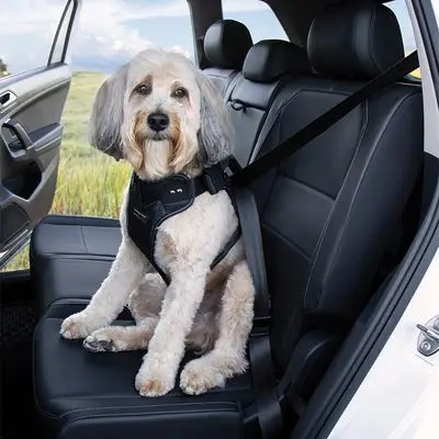 Kleinmetall DogMaster 2.0 Hund sikkerhetssele crash-testet (TÜV)