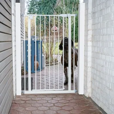 TIAKI Høyt hundegrind i metall
