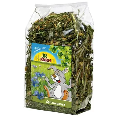 JR Farm Smalkjempe