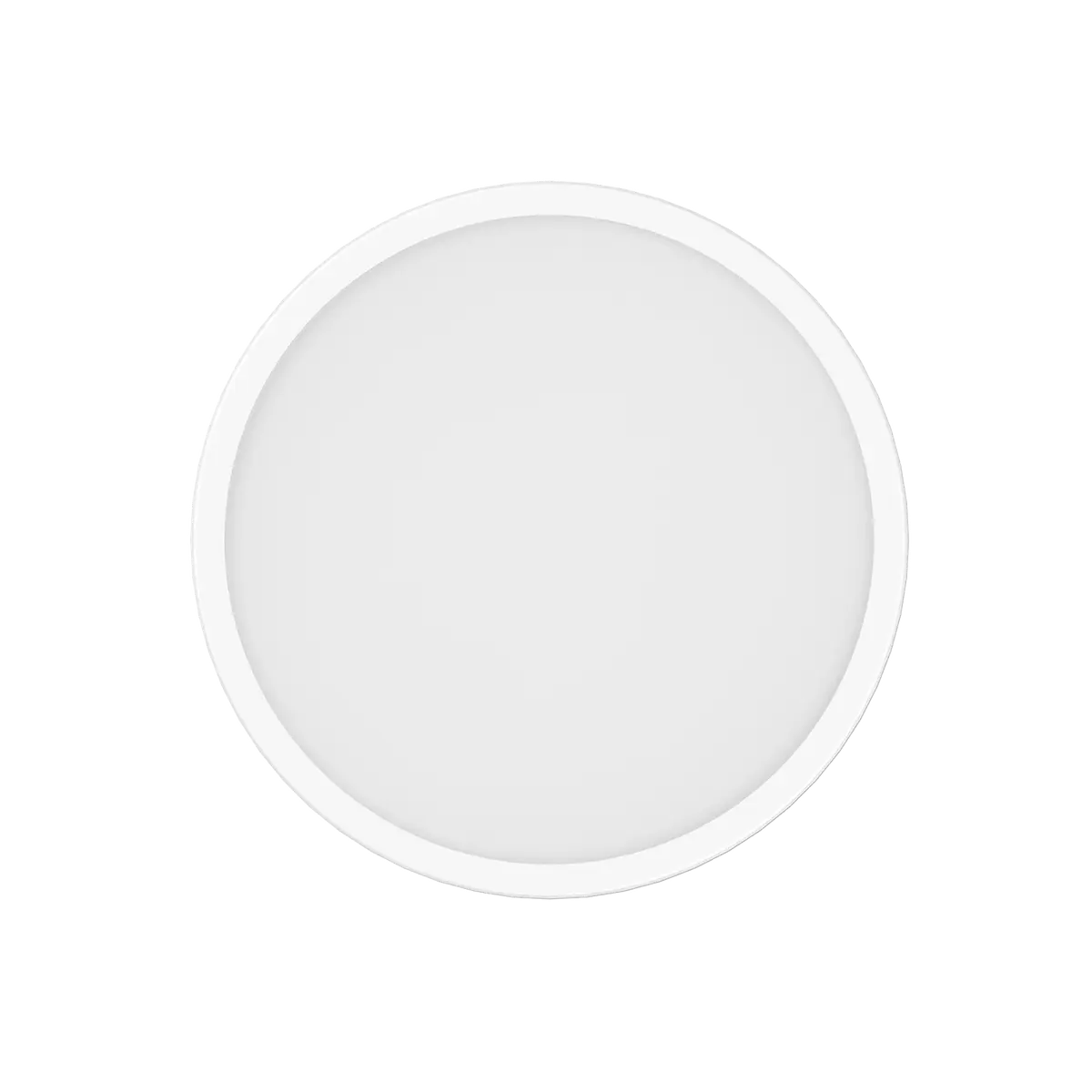 Xiaomi Smart Ceiling Light D30