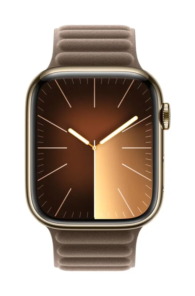 Apple 45mm Magnetic Link - M/L (muldvarpgrå)