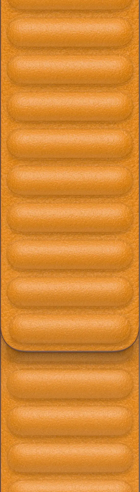Apple 40 mm Leather Link - large (gullvalmue)