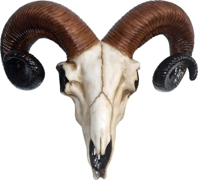 Nemesis Now Rams Skull actionfigur
