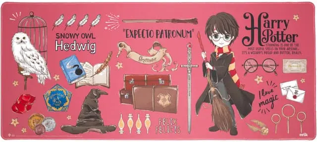 Grupo Erik Harry Potter musematte