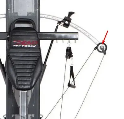 Pulley Bioforce 3841