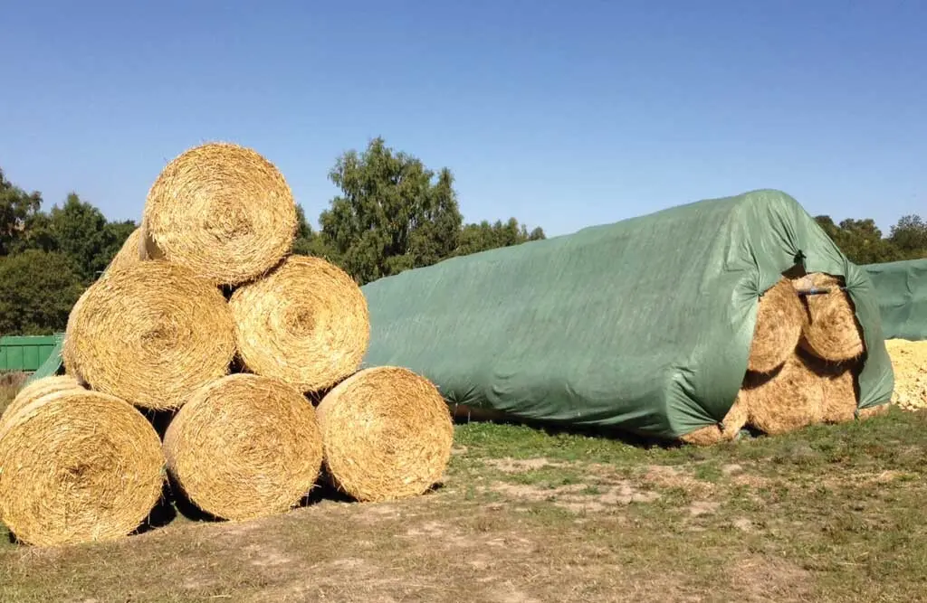 Halmduk, 12 x 25 m
