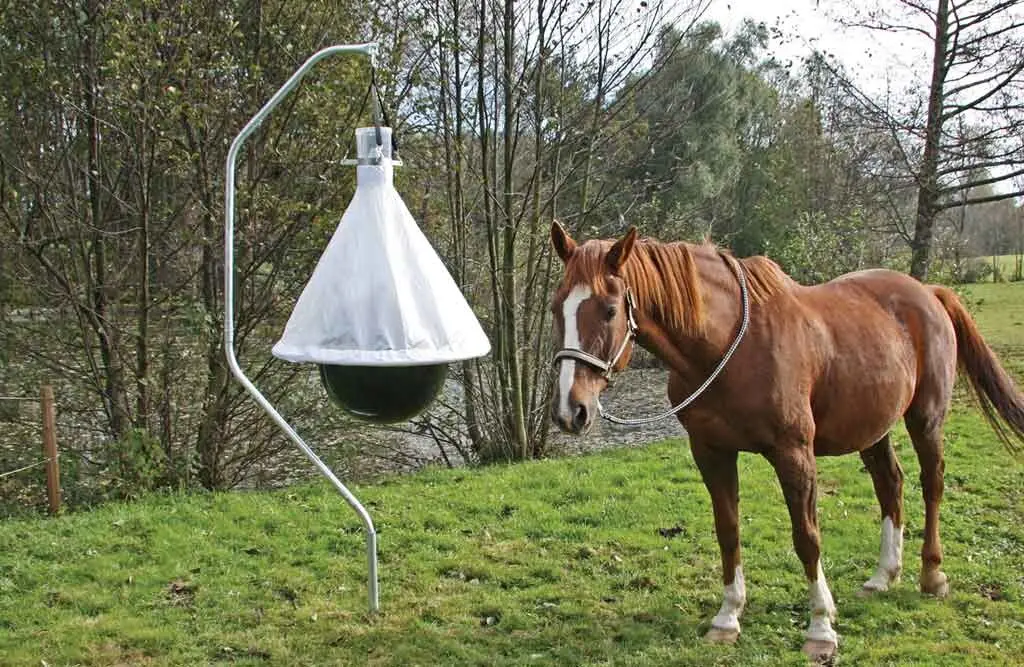 Insektsfelle
