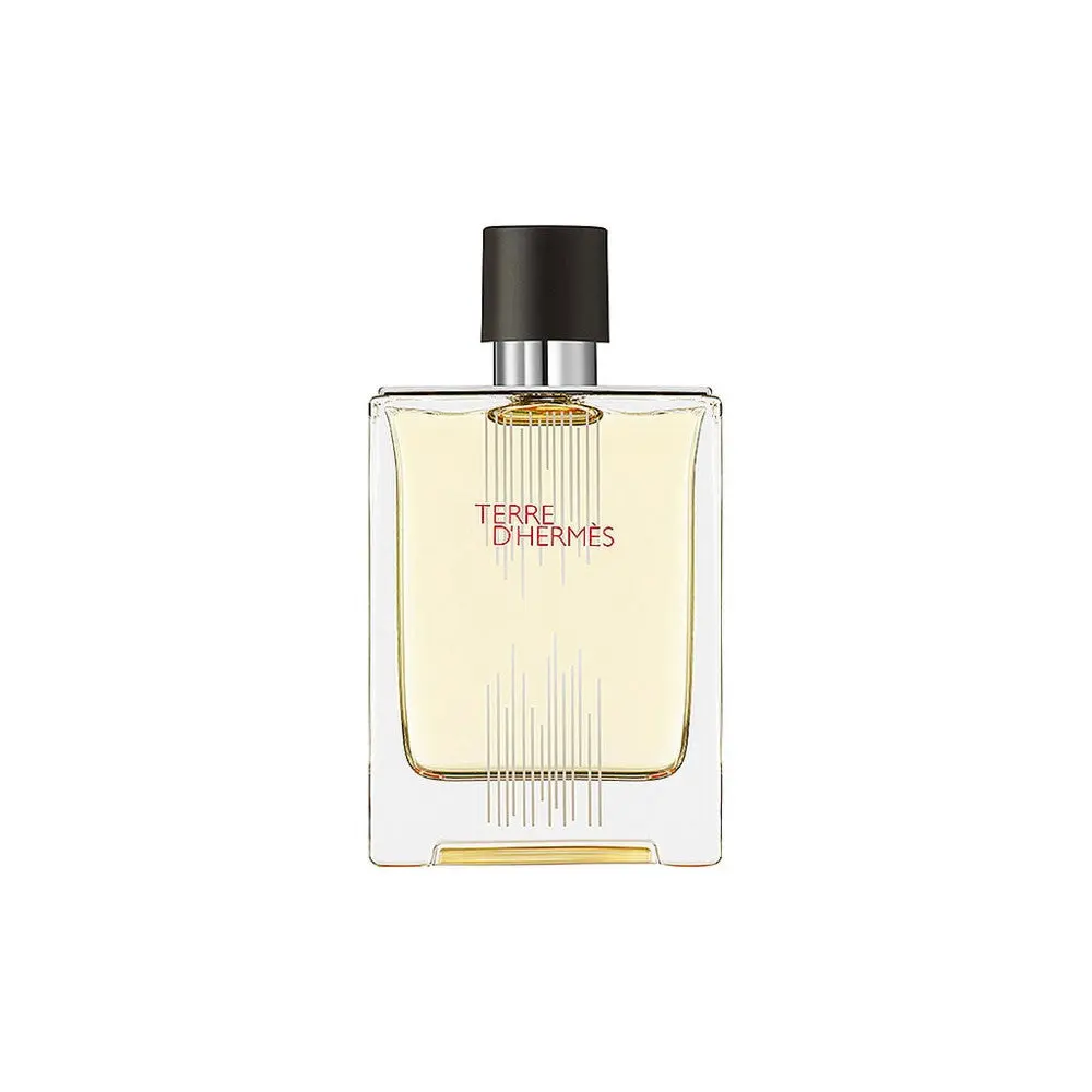 Hermes Terre d'Hermes Flacon H Eau de Toilette Uomo 100 ml — Eau de Toilette