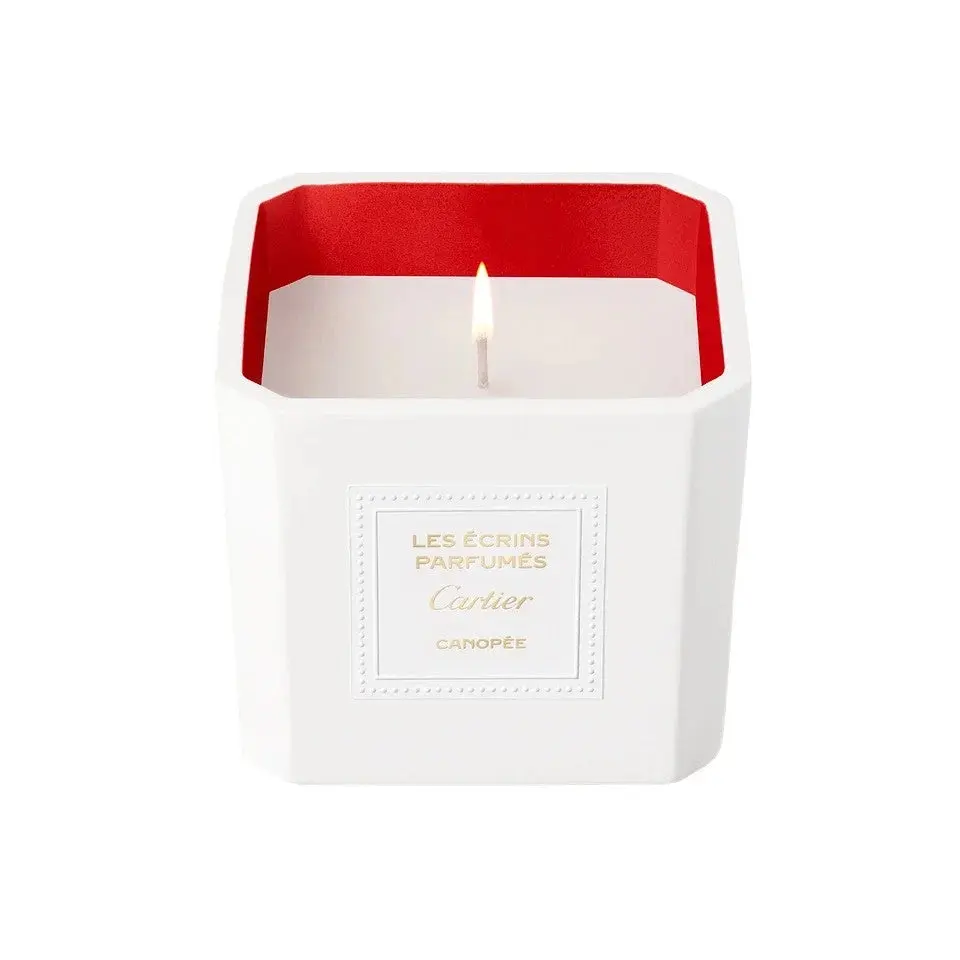 Cartier Les Ecrins Canopee 220 g — Candela Profumata