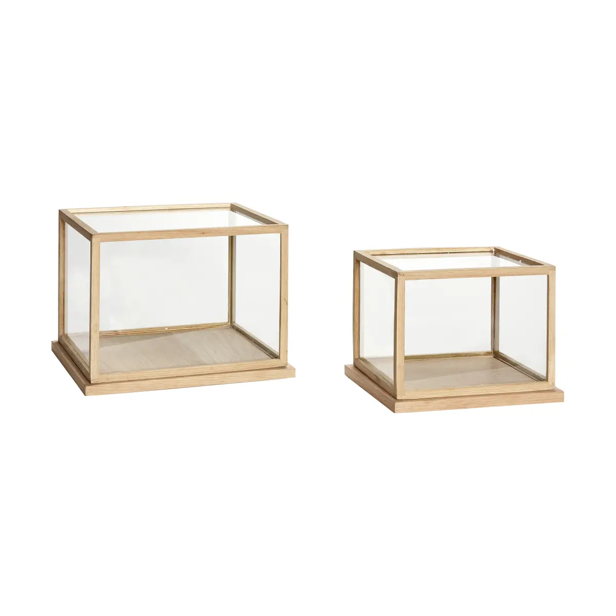 Spectacle display box small set m. 2, Eik