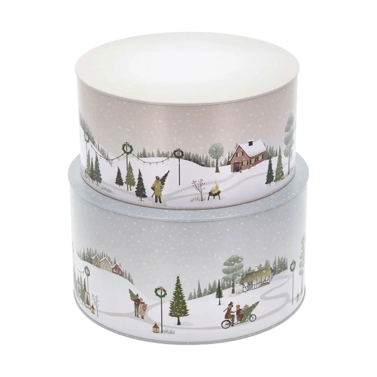 Vinter kakeboks 2 deler, Arctic ice-woodrose