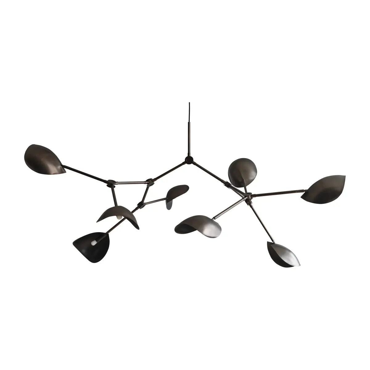 Stingray takkrone Grande, Bronze