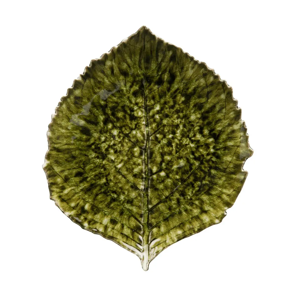 Riviera Hydrangea fat, Forest, 22 cm