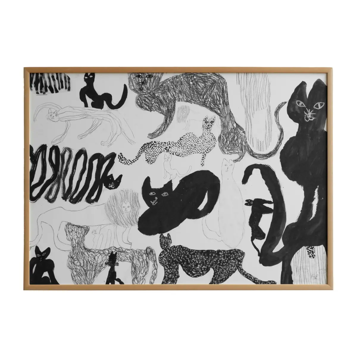 Cats plakat, 50 x 70 cm