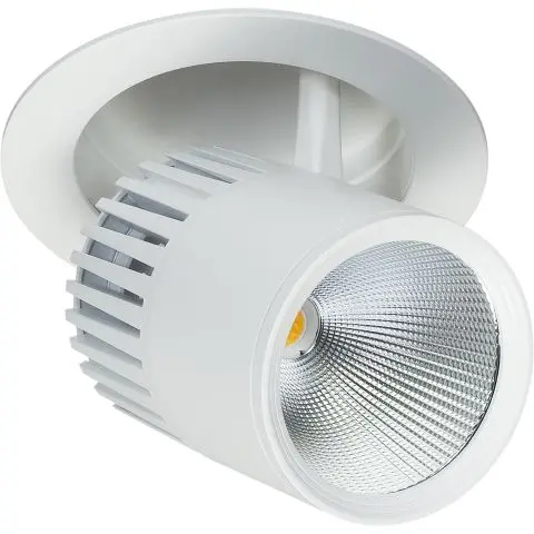 Easyform Pride Downlight justerbar, 330°/ 90° 30W