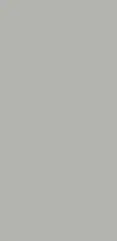 Flis Primus 640 0 10x20 D Grey Glo