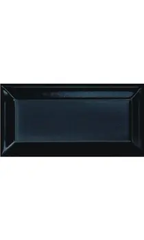 Flis Primus 212.2 10x20 Black Fas