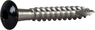 Takrenneskrue Ph Svart 4,8x35 A2-20