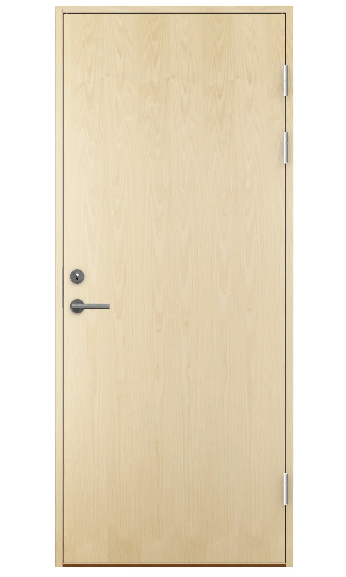 Dørbl Ei30/rw35db 11x21h Bjørk