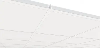 Himl Danotile Regula 9,5x600x1200