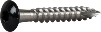 Takrenneskrue Ph Sort 4,8x35 A2 -20