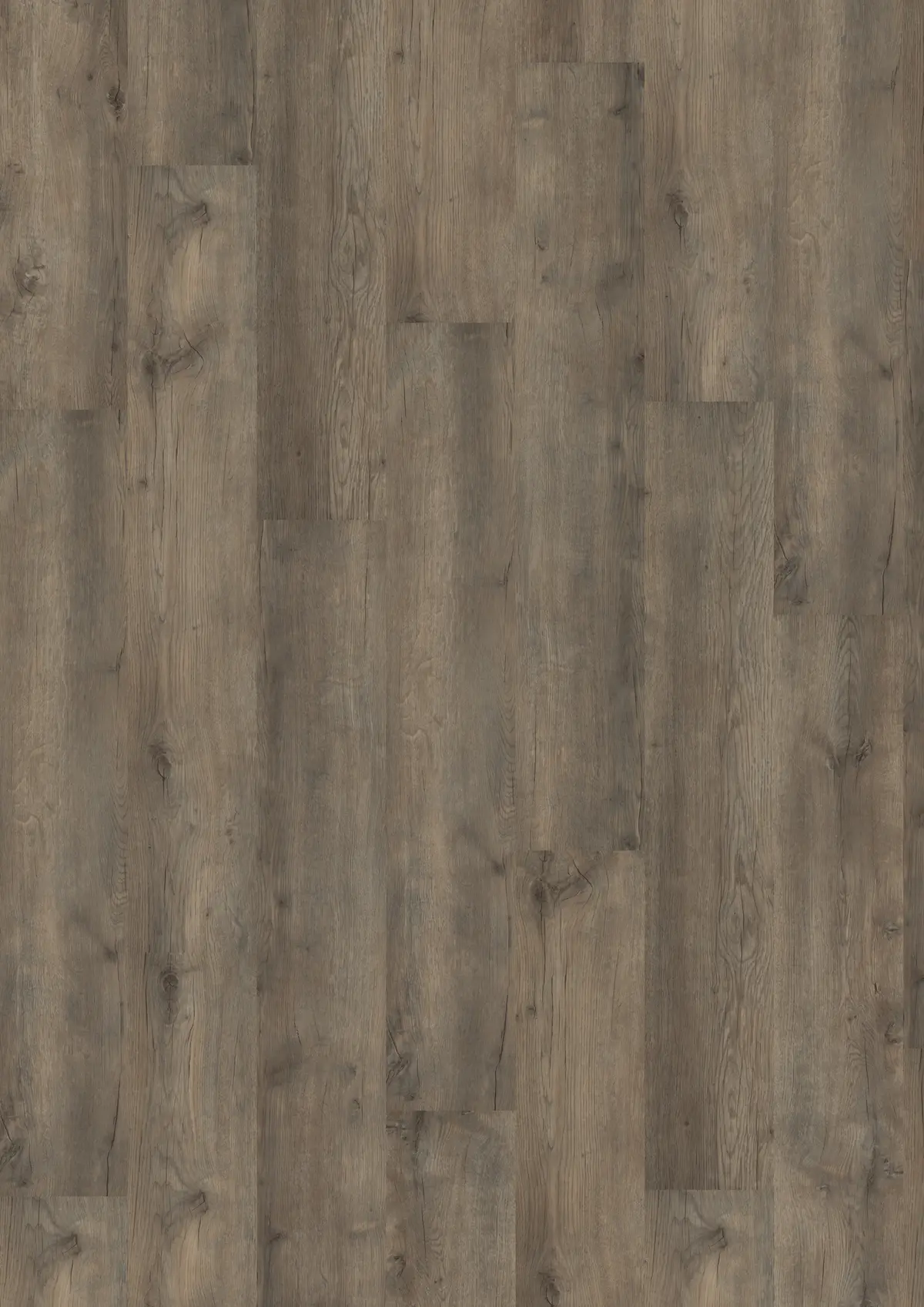 Vinyl Maxwear Ek Dusk 10mm