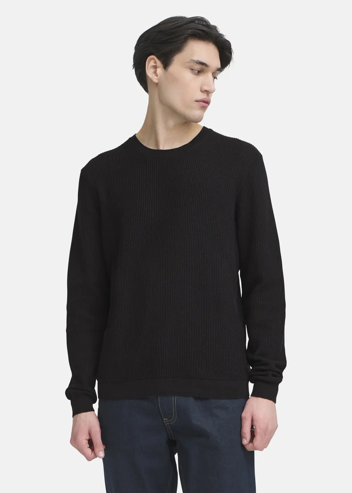 CFNOAR structured crew neck kn