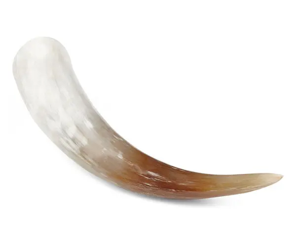 Watusikuhorn
