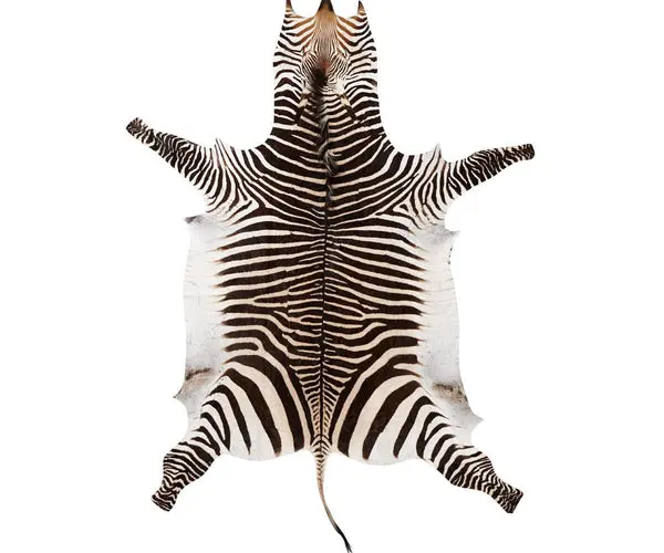 Sebraskinn