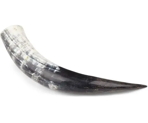 Kuhorn Polert