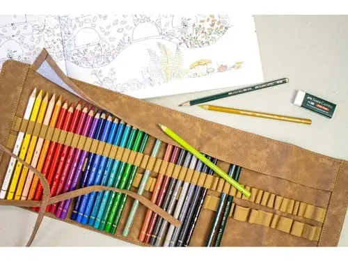 Faber-Castell - Polychromos Colour pencil 30 ct pen. roll (110030)