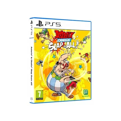 Asterix and Obelix: Slap them All!