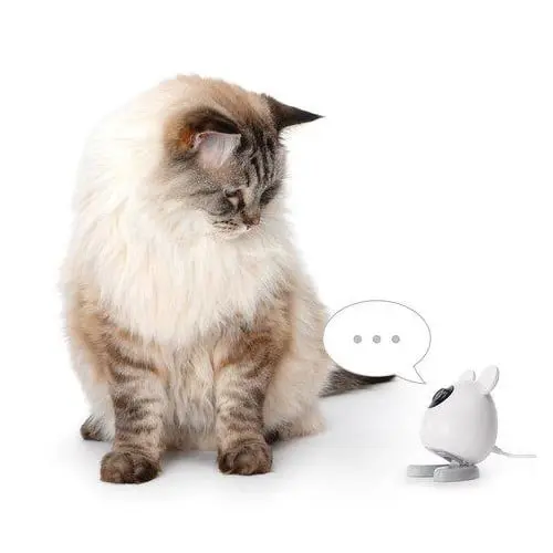 Catit - PIXI Smart Camera 7x12cm