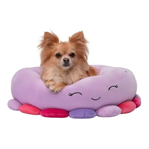 Squishmallows - Pet Bed - Octopus 50 cm (JPT0085-S)