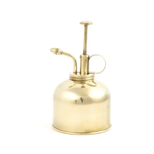 Plant Mister Brass (CD508)