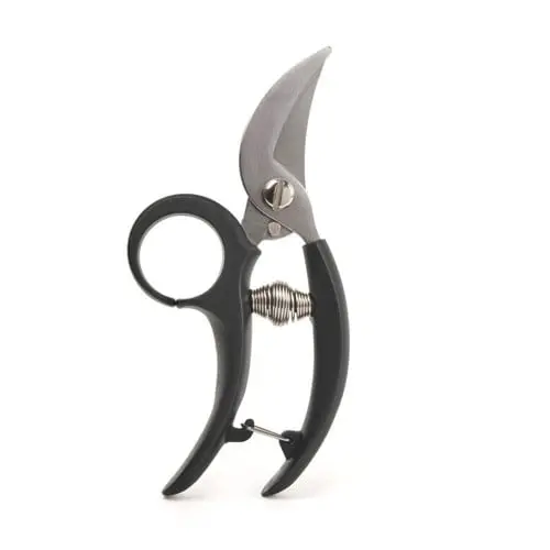 Garden Shears (CD526)