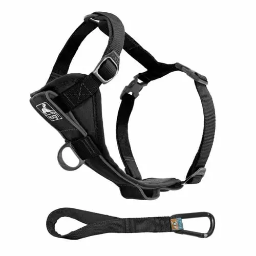 KURGO - Tru-Fit Smart Harness w/ Seatbelt Tether M 11-23 kg Black - (604.1222)