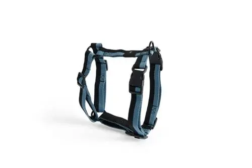 HAY - Dogs Harness Medium (Blue & Black)