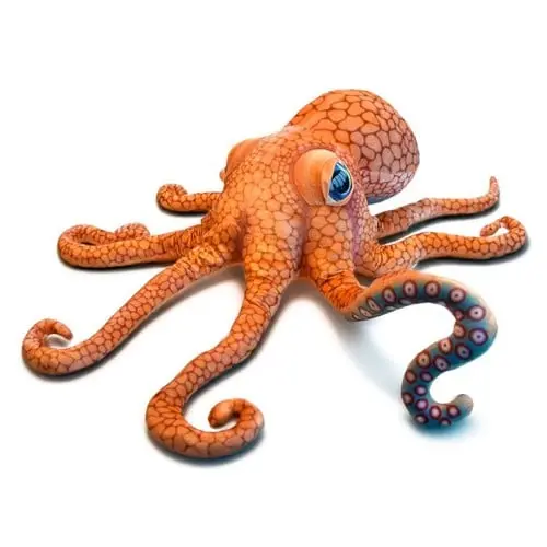 Giant Octopus