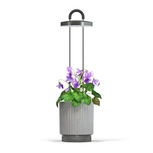 Click and Grow - HydroVase - Grå