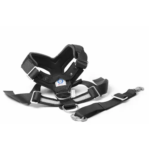 Mim Allsafe Xl >55kg Car harness - crash-tested