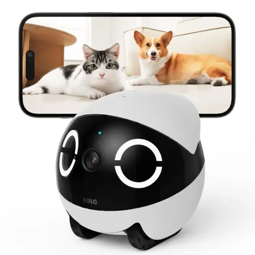 Enabot - ROLA Mini - Pet companion