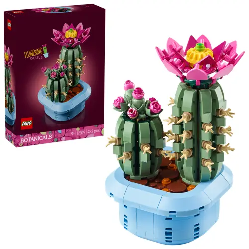 Blomstrende kaktus