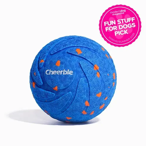 Cheerble - Wicked Ball Air - Royal Blue