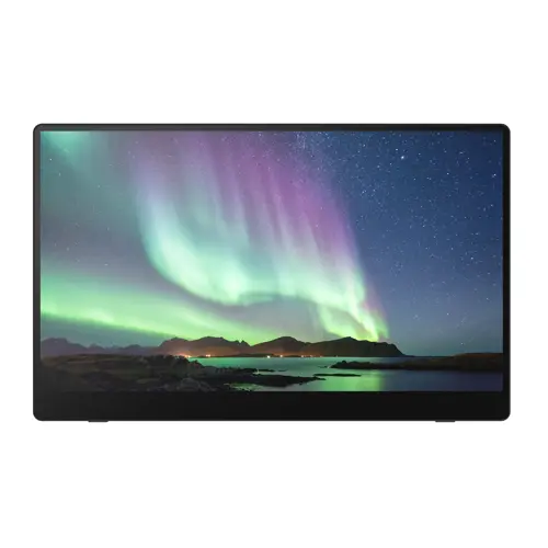 RICOH - Portable Monitor 150BW OLED 15,6'' (Wireless)