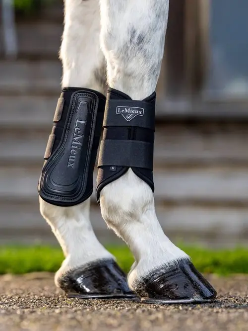Lemieux - Grafter Brushing Boot - Black - Medium