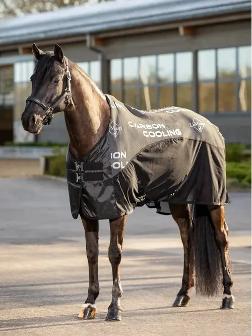 Lemieux - Carbon Cooler Rug - Black - 6'3"