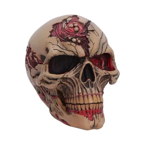 Nemesis Now - Nemesis - Hall Of Horrors - Scarecrow Skull